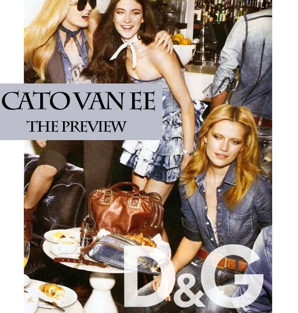 CATO VAN EE: Q and A